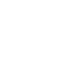 picto collaborateurs globe